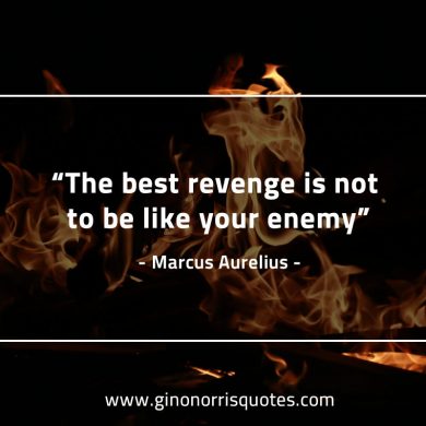 The  best revenge MarcusAureliusQuotes